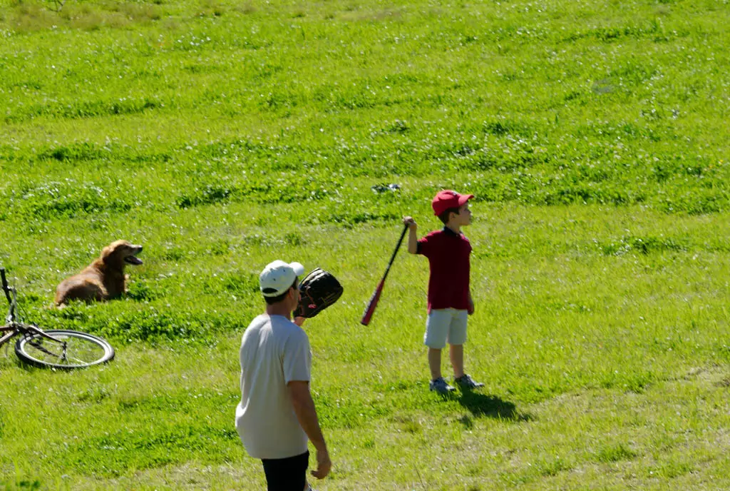 little boy holding a baseball bat with one hand about to drop it while his dad stands behind with baseball glove in front of his face and the boy's Irish setter is lying the the grass watching over all