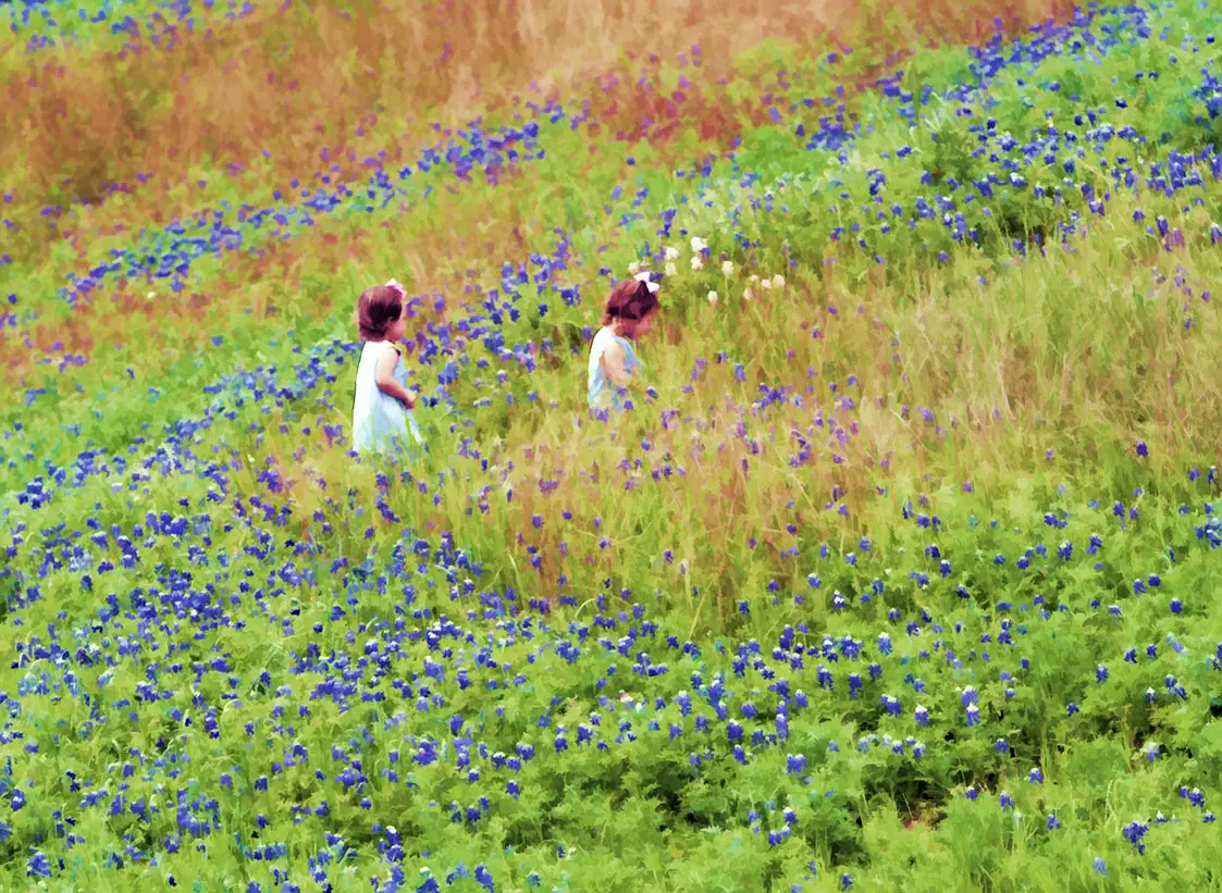 two small girls with ribbons in the hair on a hillside of bluebonnets and spring flowers